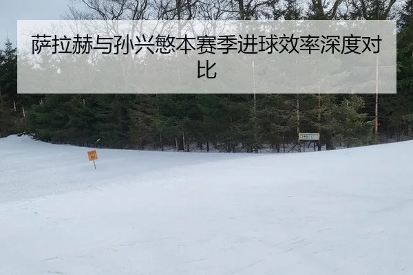 sa-la-he-yu-sun-xing-min-ben-sai-ji-jin-qiu-xiao-lv-shen-du-dui-bi-3-299.jpg